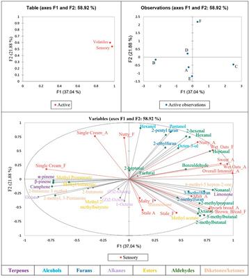 Oat-based milk alternatives: the influence of physical and chemical properties on the sensory profile